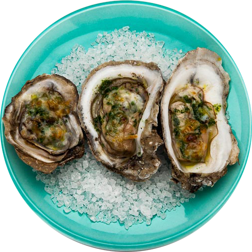 Plate of oysters