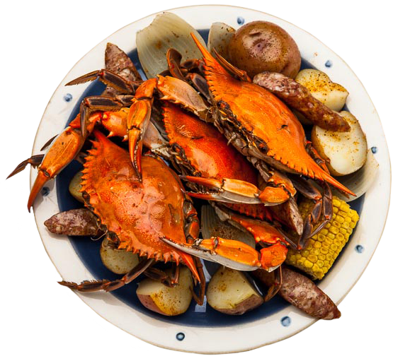 Plate of crab