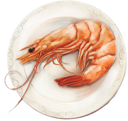 American Wild Shrimp on a plate