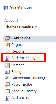 Ads Manager Audience Insights